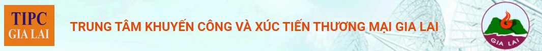 Trung tâm khuyến công và xúc tiền thương mại Gia Lai