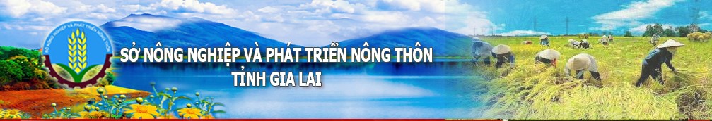 Sở nông nghiệp & PTNT Gia Lai